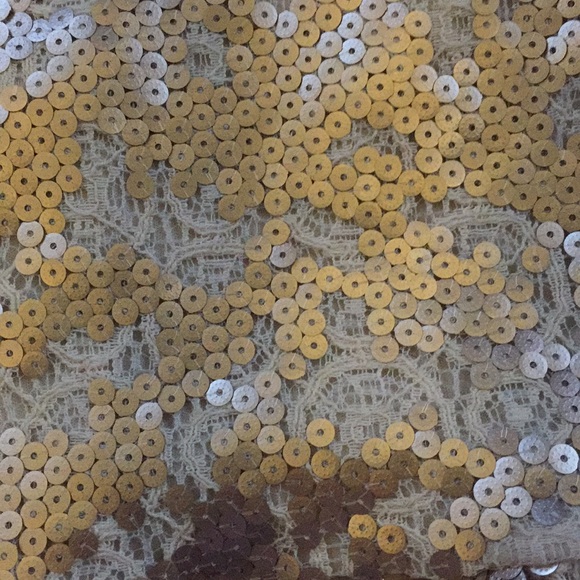 Gianni Bini gold sequin lace cocktail dress. XS - Picture 4 of 4